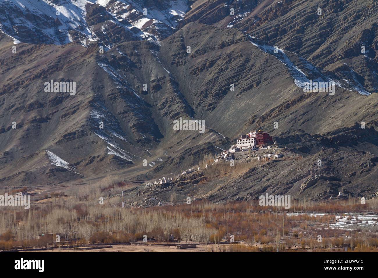 Matho Gompa - a Tibetan Buddhist monastery in Ladakh Stock Photo