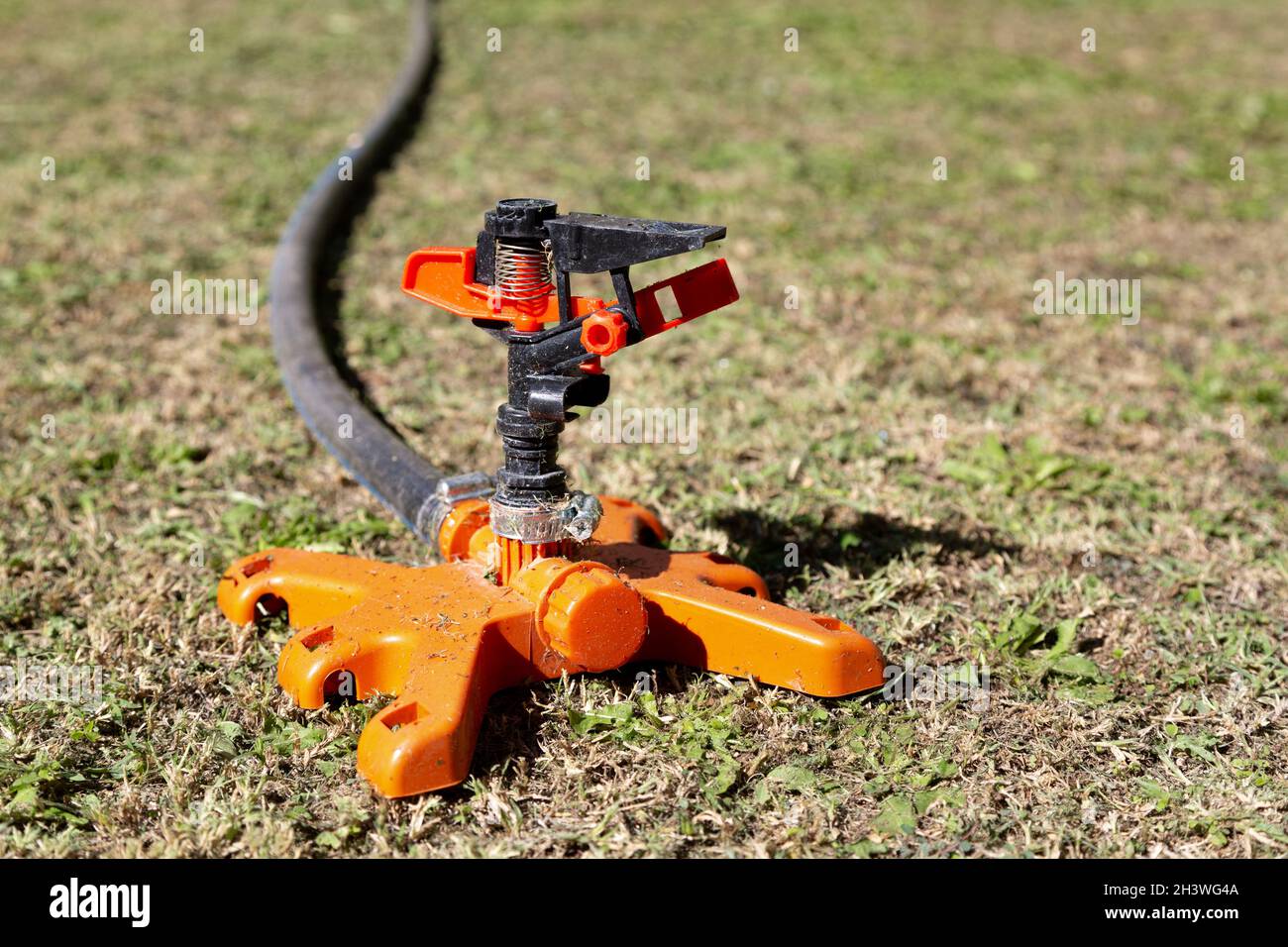 The sprinkler used to water the lawn Stock Photo Alamy