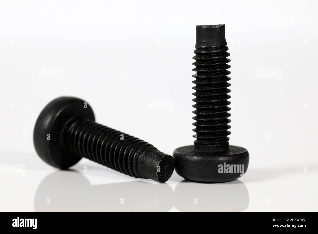Two black special purpose bolts of the same shape and purpose of use ...