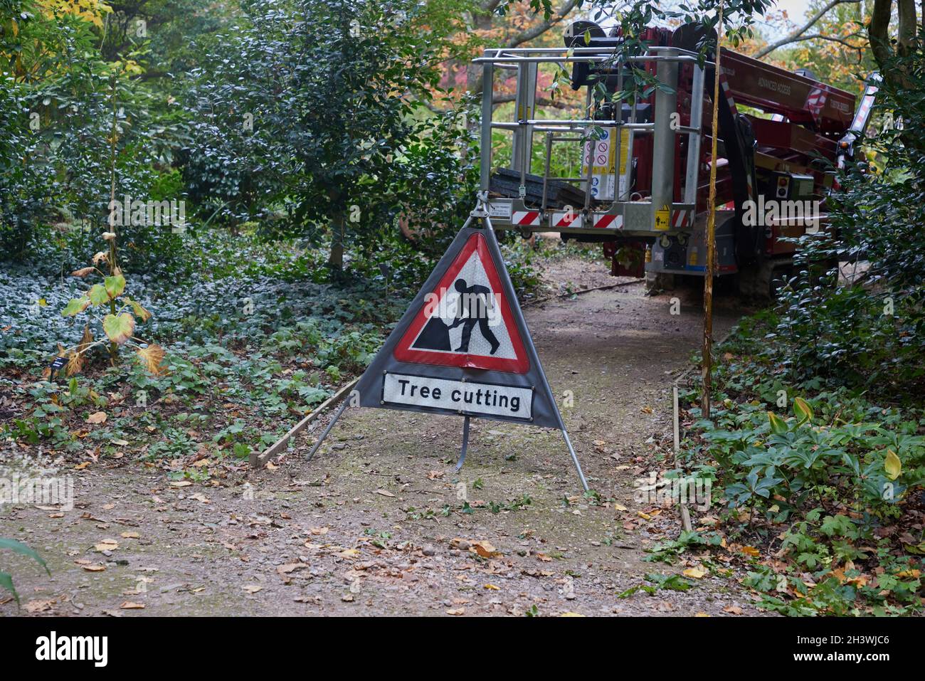 Triangle warning sign of tree cutting work. Stock Photo