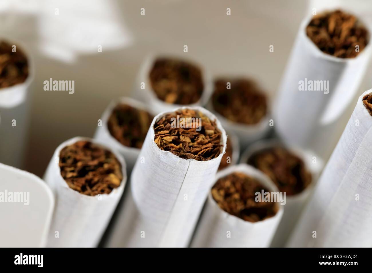 cigarettes without filter I Took the off a Cigarette and Smoked It cigarettes without filter The open