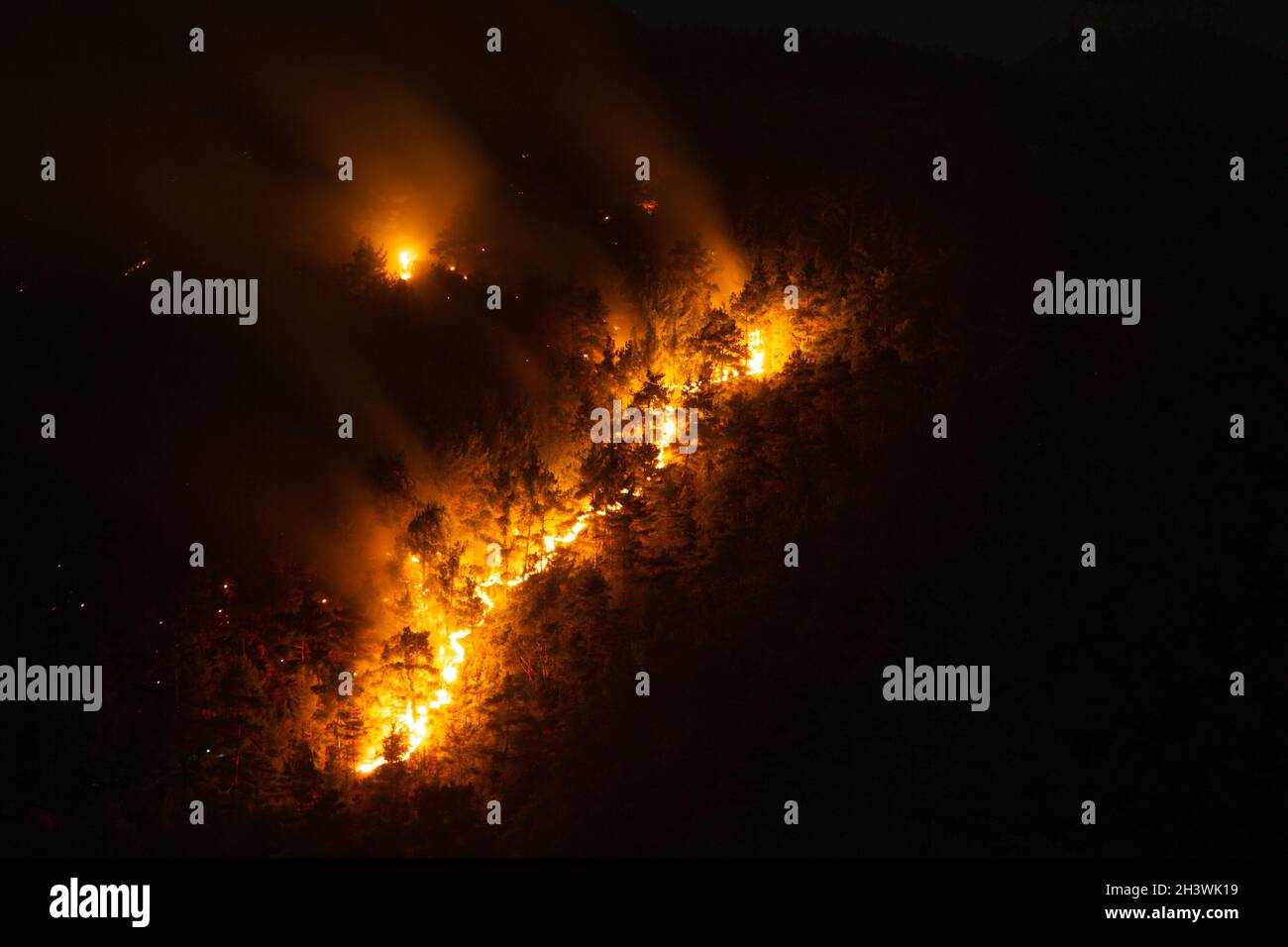 The fire is advancing in a line. Night view of a forest fire in a steep rocky terrain. Flames, sparks and smoke rise to the sky. Silhouettes of tree. Stock Photo