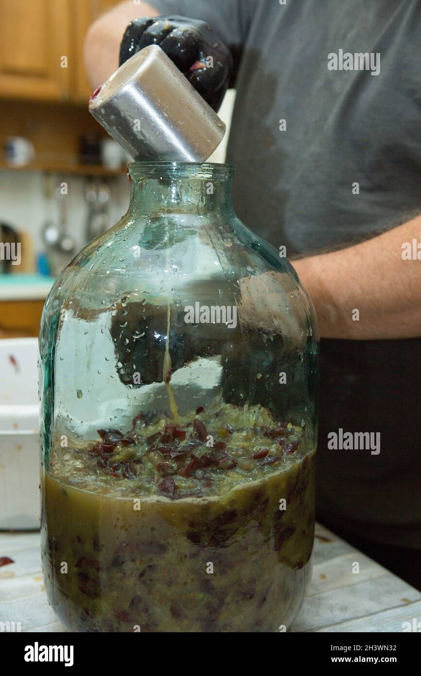 The process of making homemade wine. Male hands fill the fermentation