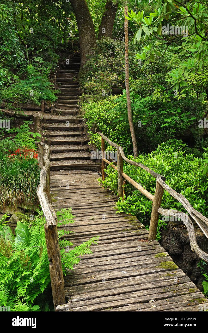 Wooden walkway in the Tuebingen Botanical Garden, Germany Stock Photo Alamy