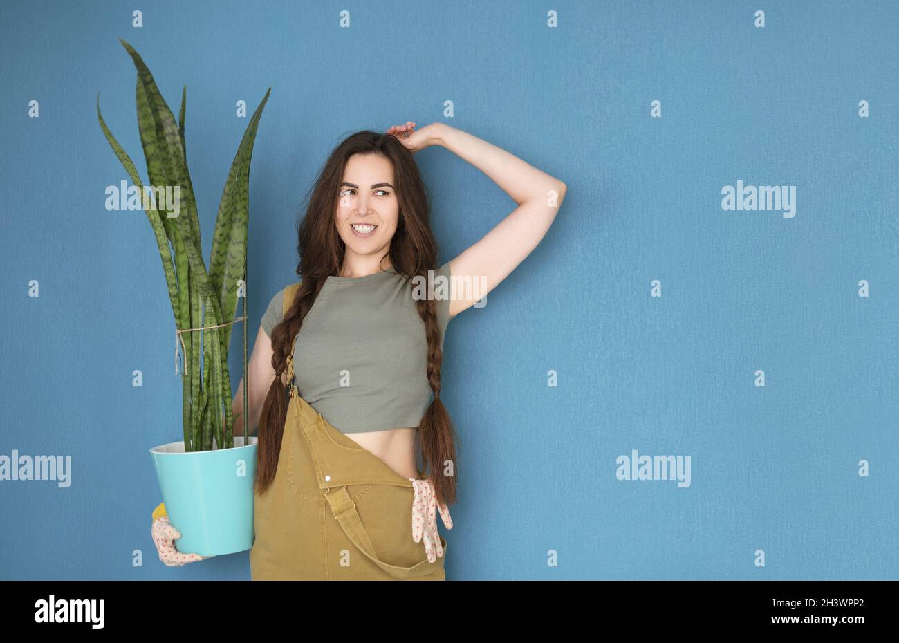Female gardener showing potted plant Stock Photo - Alamy