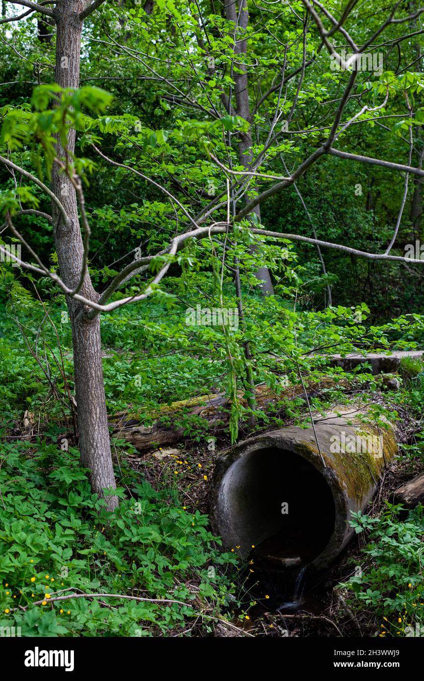 old stone pipe in the forest from which a spring with clear water flows ...