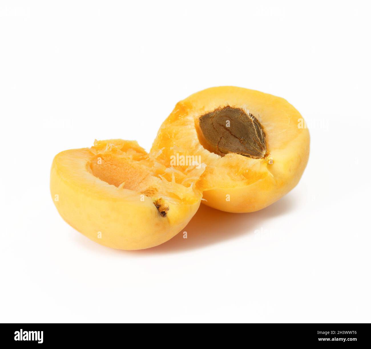 Ripe yellow apricot broken in half on white background Stock Photo - Alamy