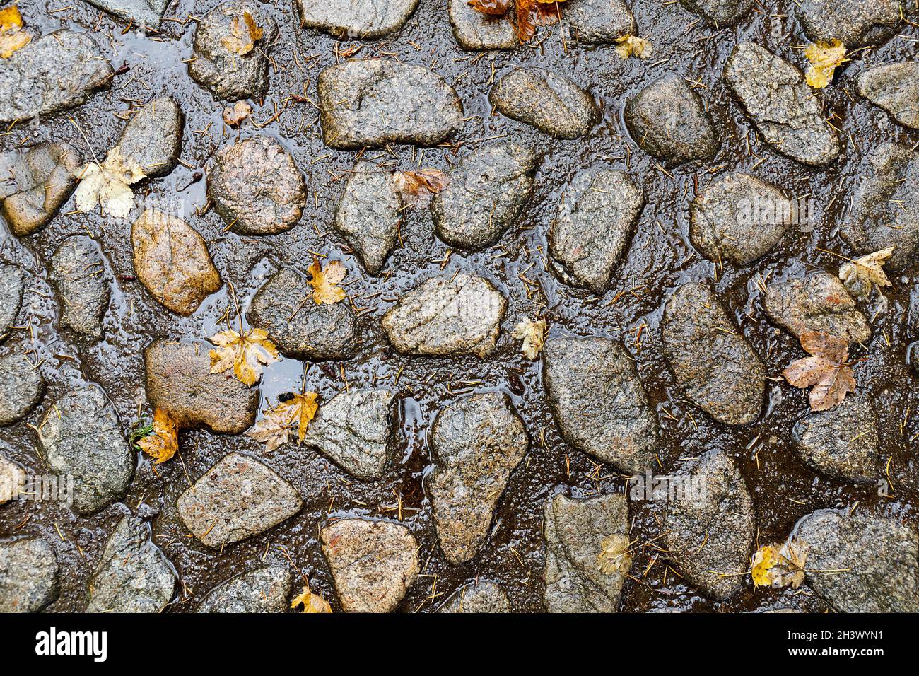 Abstract background of old cobblestone pavement close-up Stock Photo ...