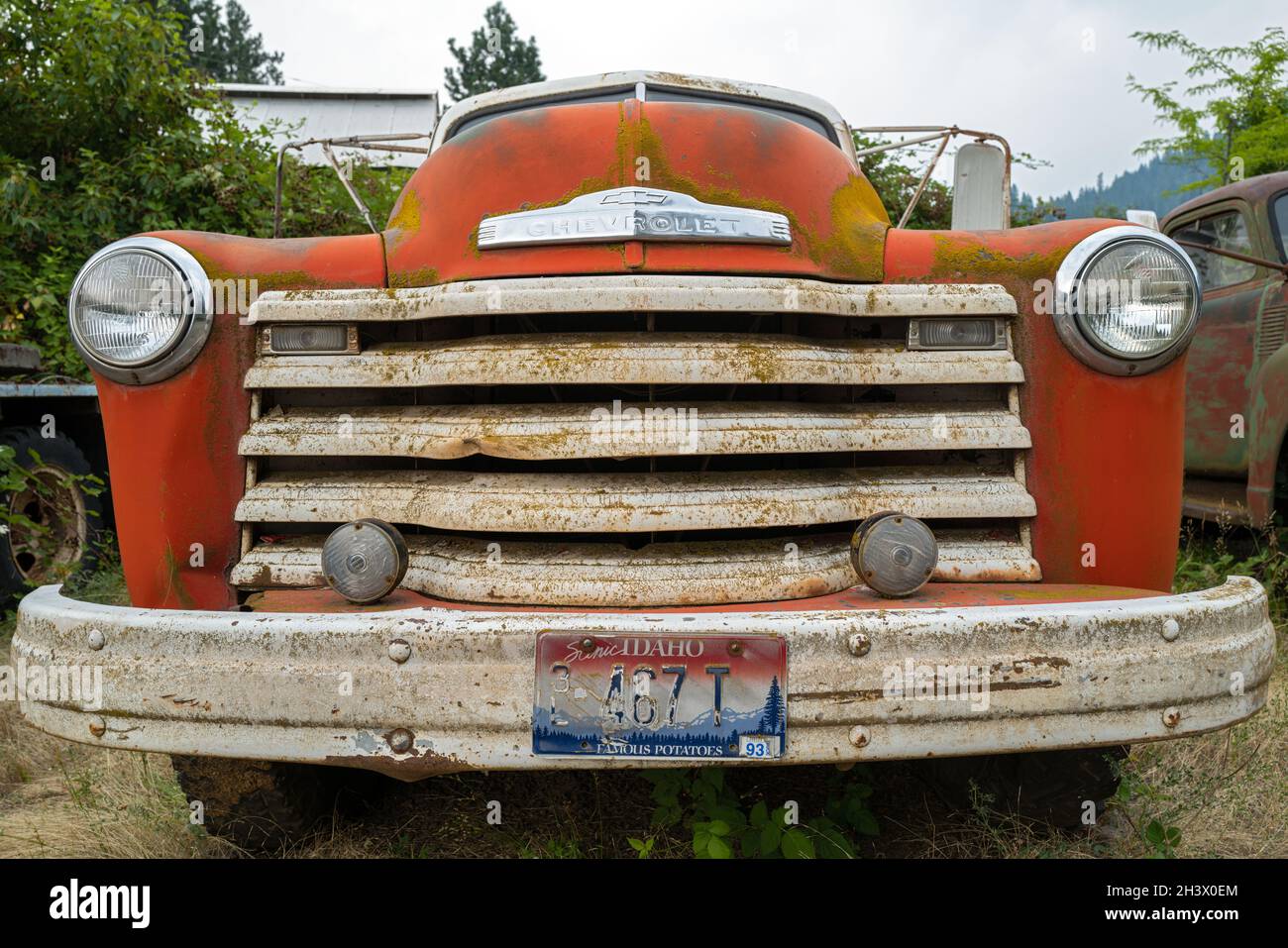 The grille of a 1951 Chevy pickup truck in a junkyard in Idaho, USA Stock Photo