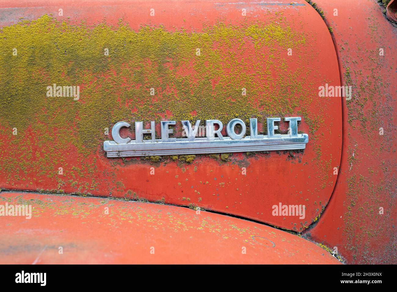 Chrome nameplate on the side of a 1951 Chevy pickup truck in a junkyard in Idaho, USA Stock Photo