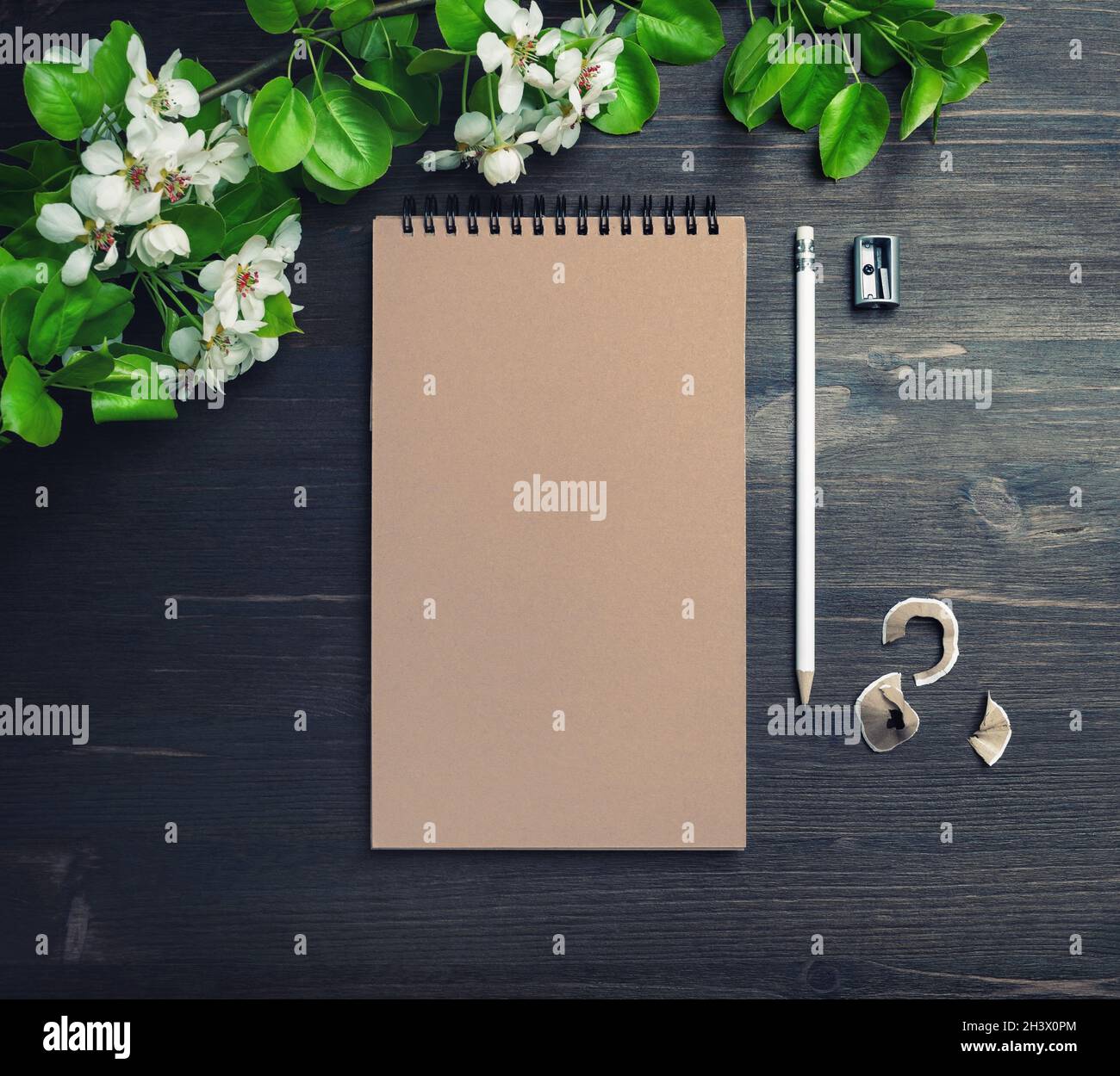 Sketchbook mockup hi-res stock photography and images - Alamy