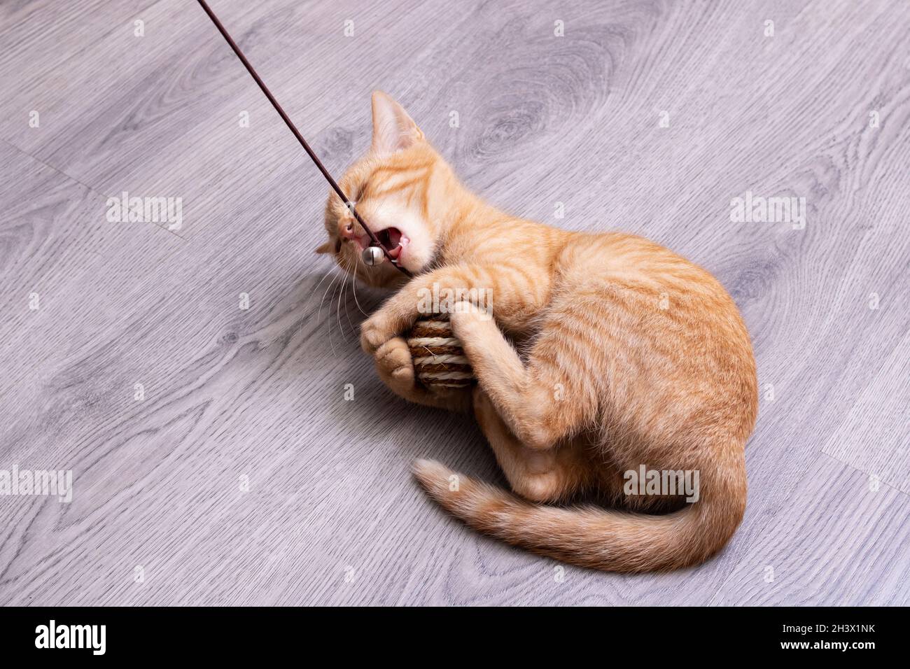 Cute little toddler playing home hi-res stock photography and images ...