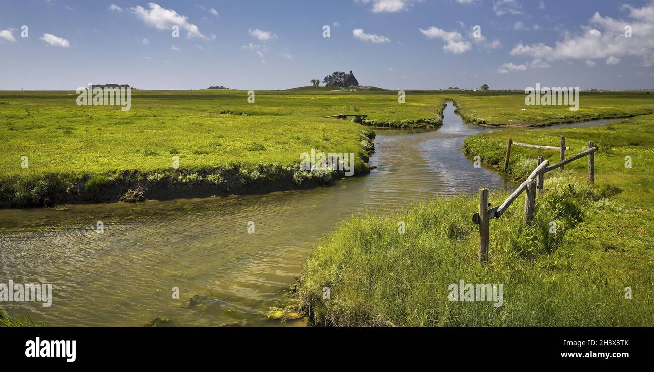 Marshland and drainage ditches and terps, Hallig Hooge, Schleswig-Holstein, Germany, Europe Stock Photo