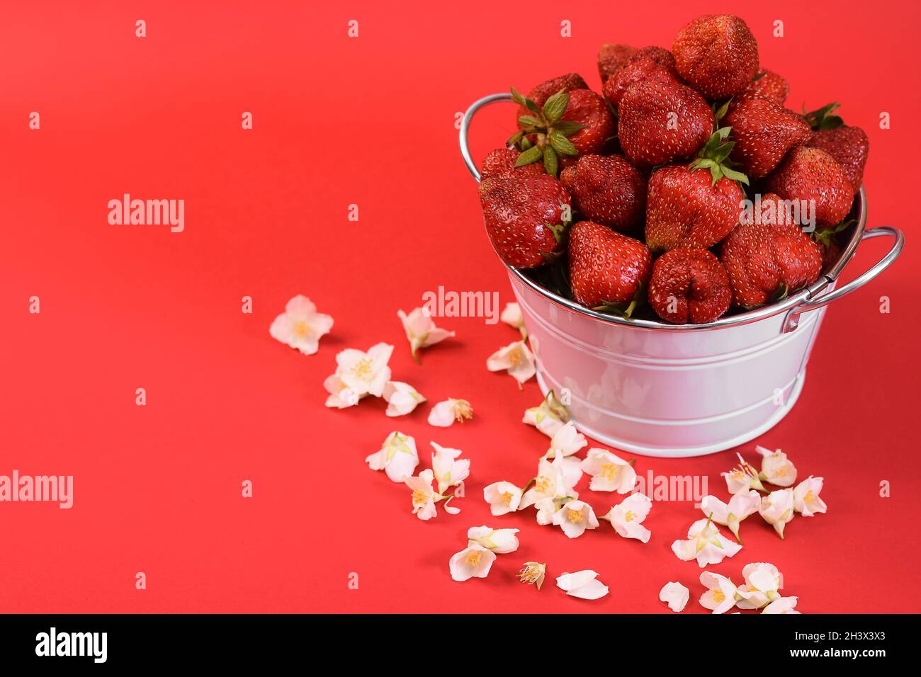 Large strawberries in a bucket on a red background. mock up Stock Photo ...