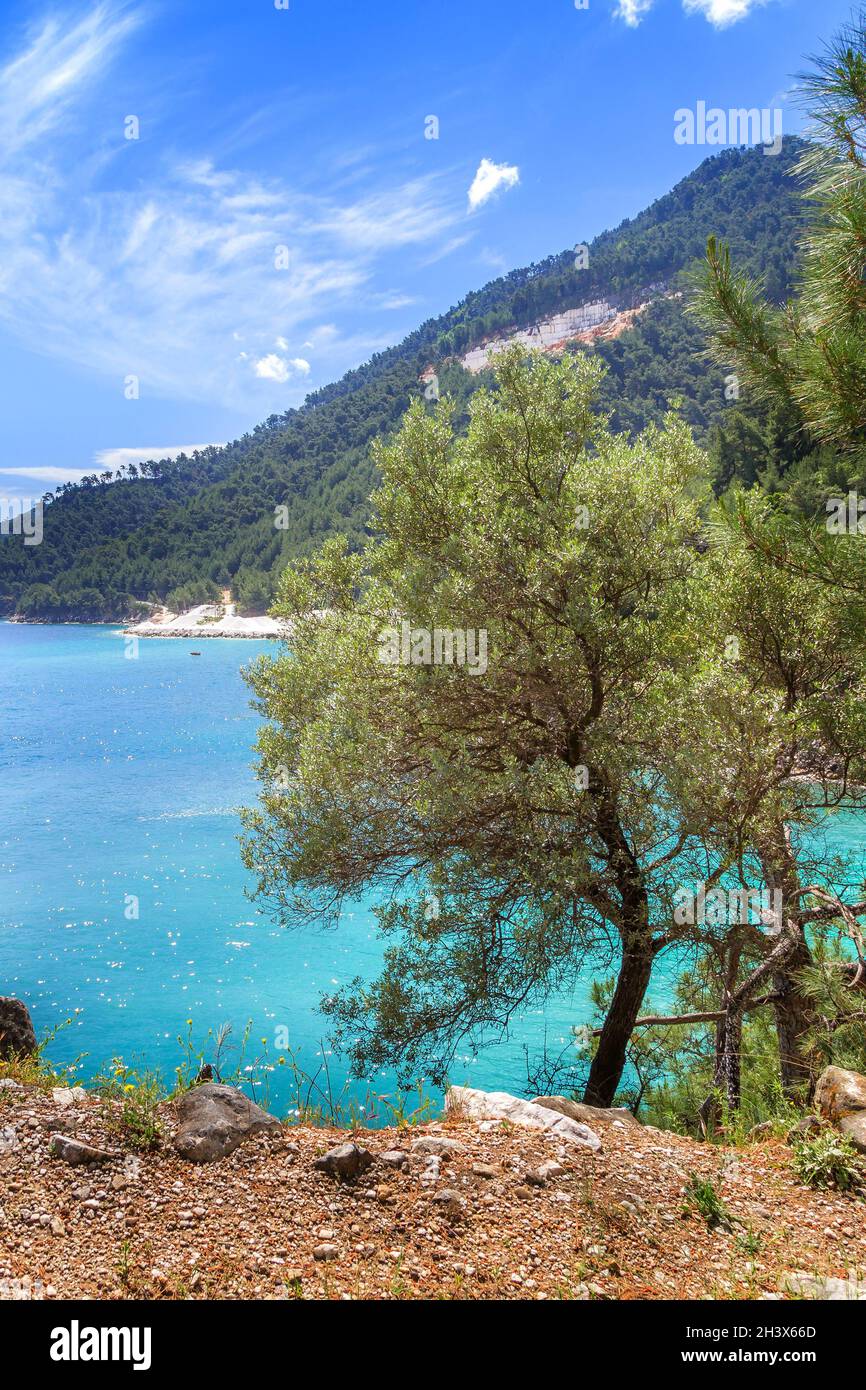 Marble beach bay, Thassos Islands, Greece Stock Photo