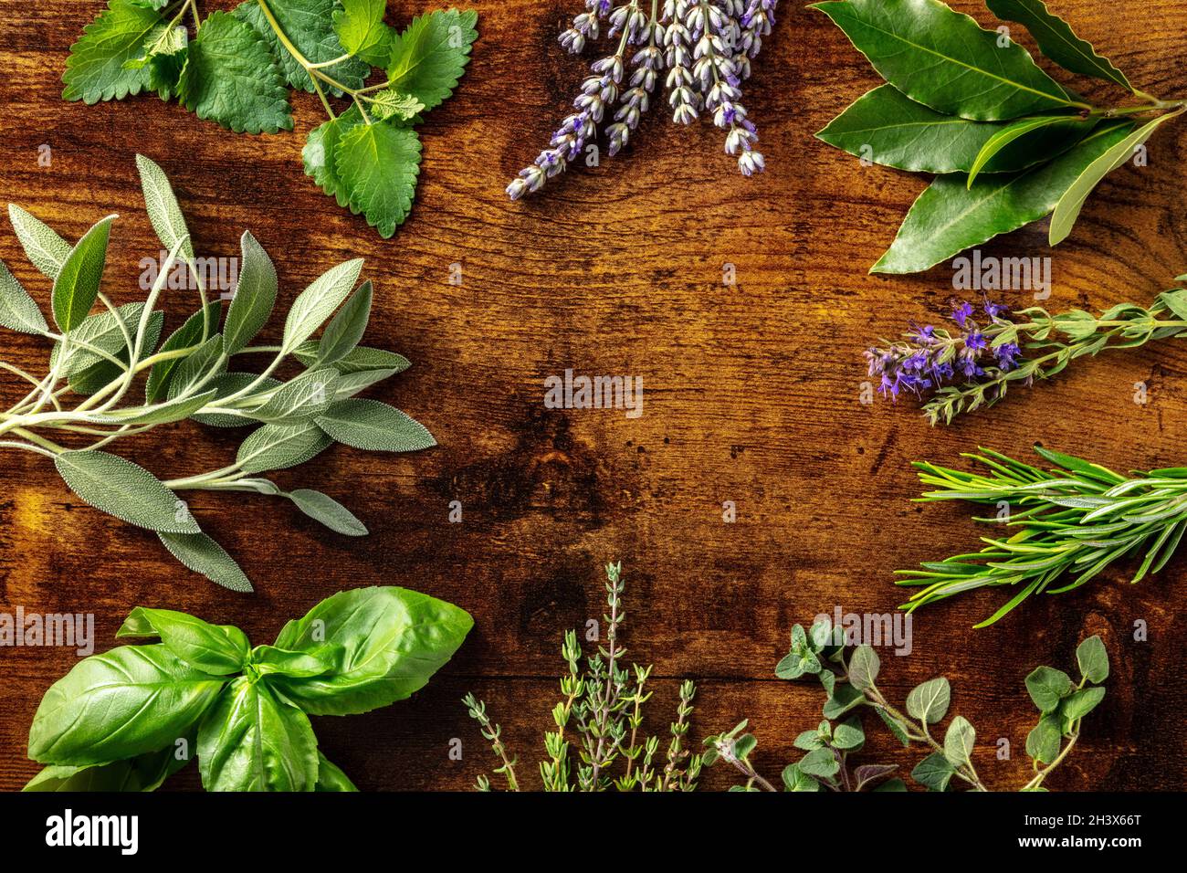 Fresh garden herbs banner with copy space. An overhead flat lay shot Stock Photo Alamy