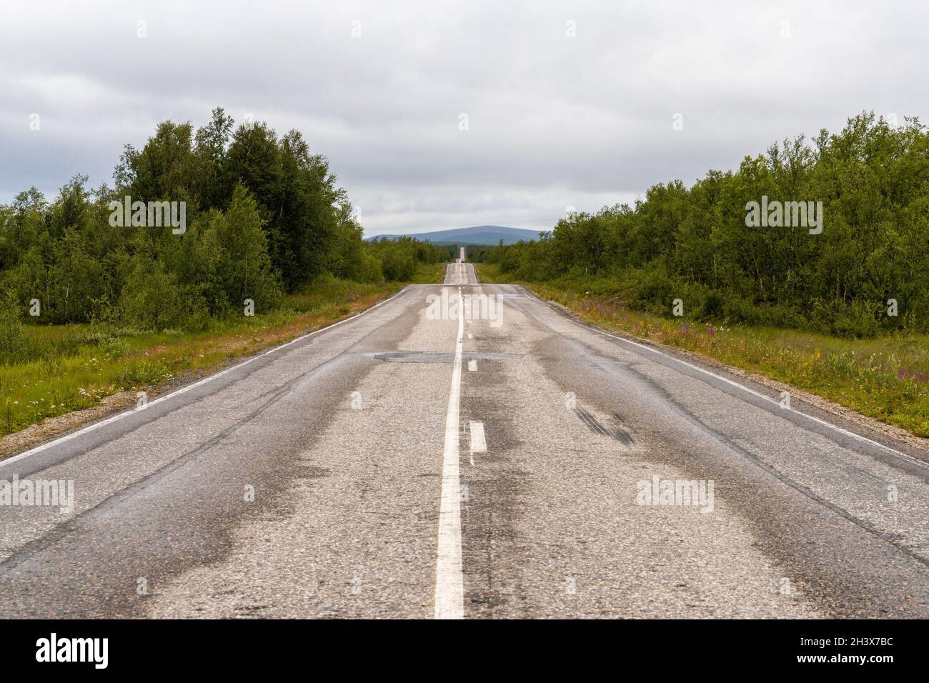 Endless gravel road leading trhough forest and tundra wilderness in a straight line to the horizon Stock Photo