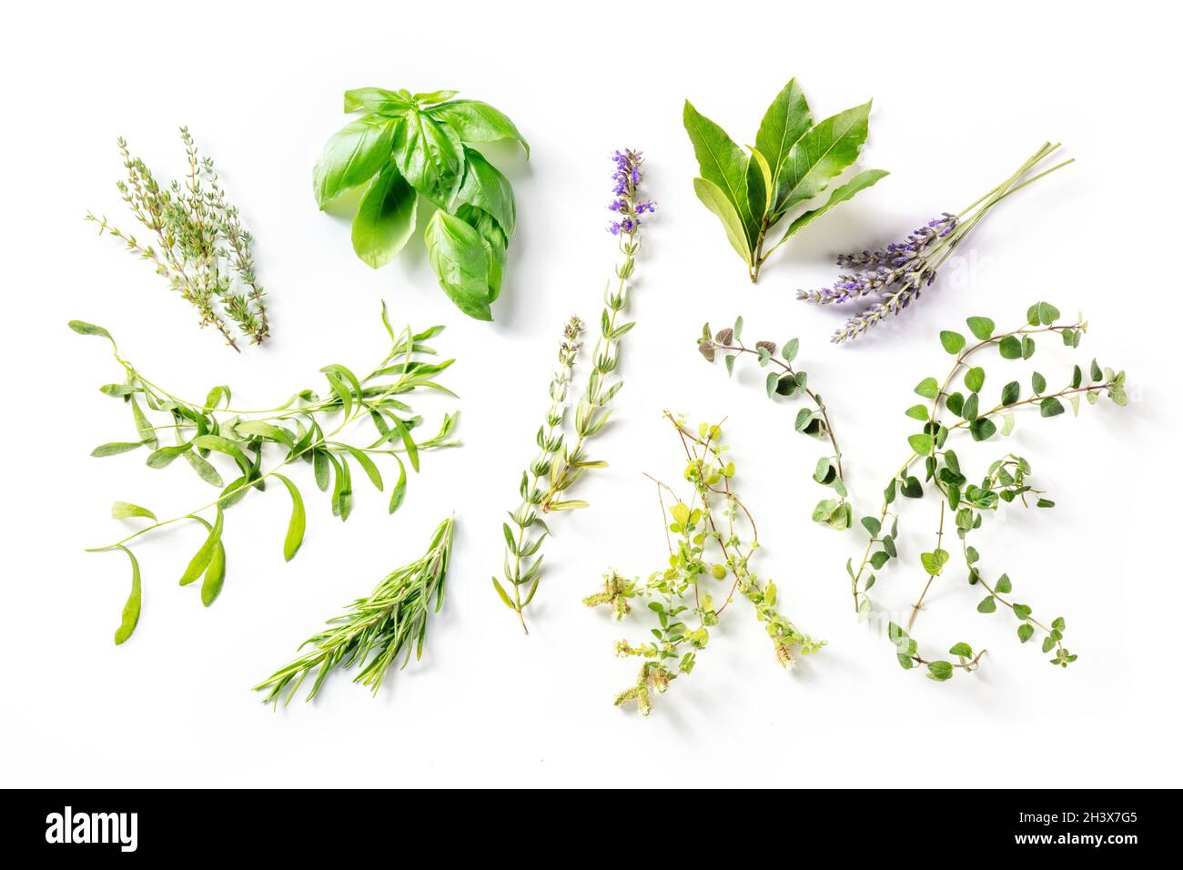 Herbes de Provence with lavender, traditional French aromatic herbs 