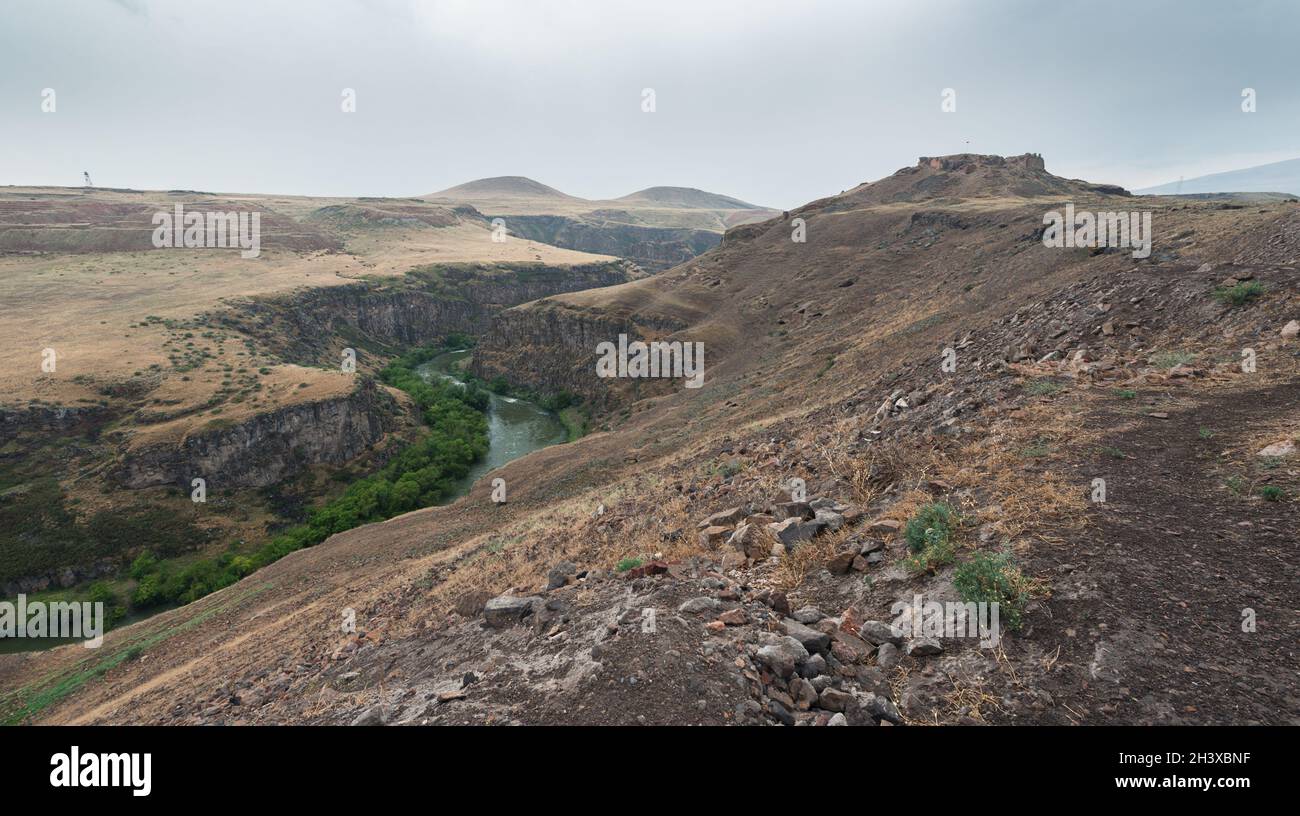 Lesser ani hi-res stock photography and images - Alamy