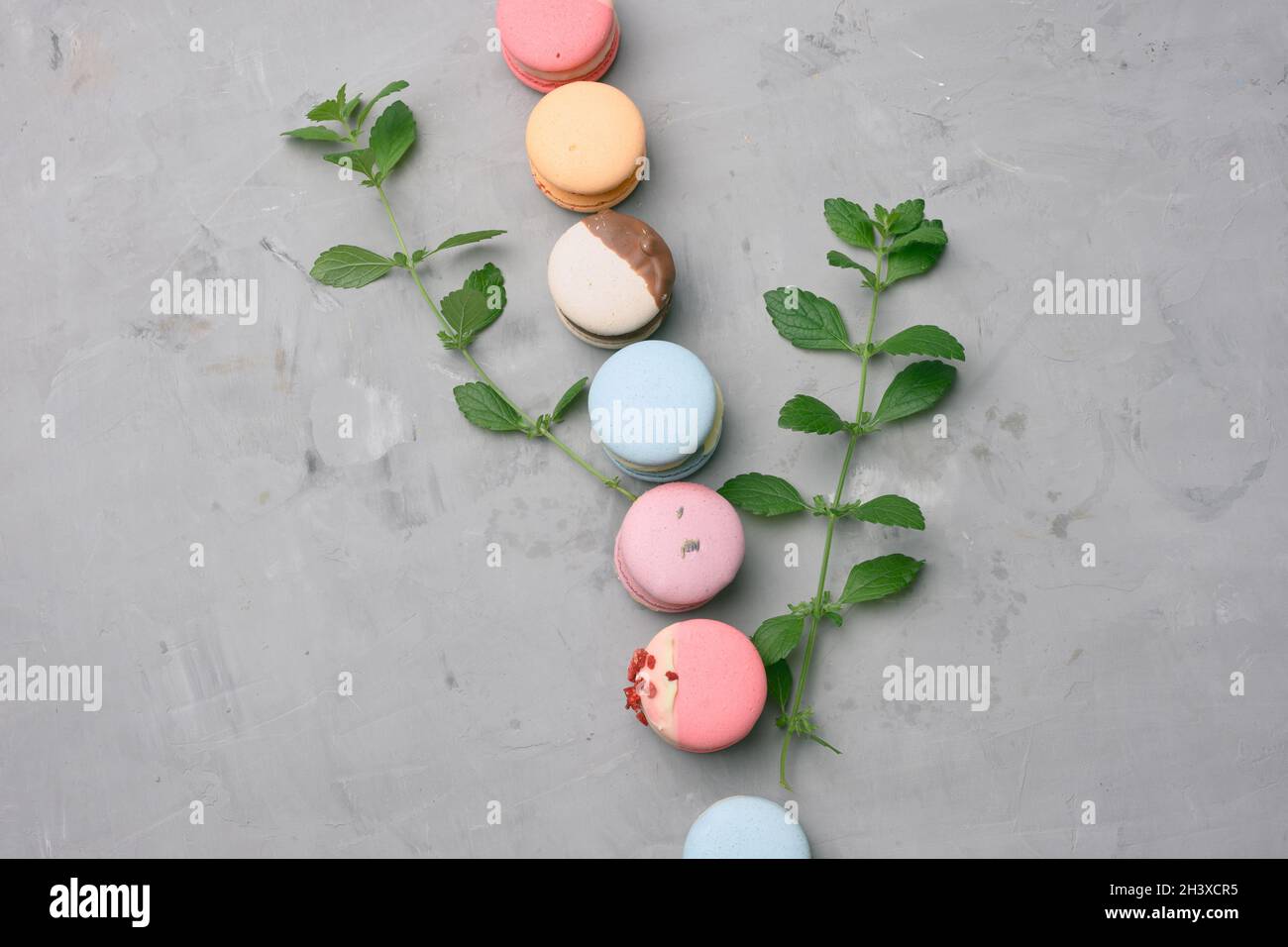 Baked macarons with different flavors on a gray cement background Stock Photo