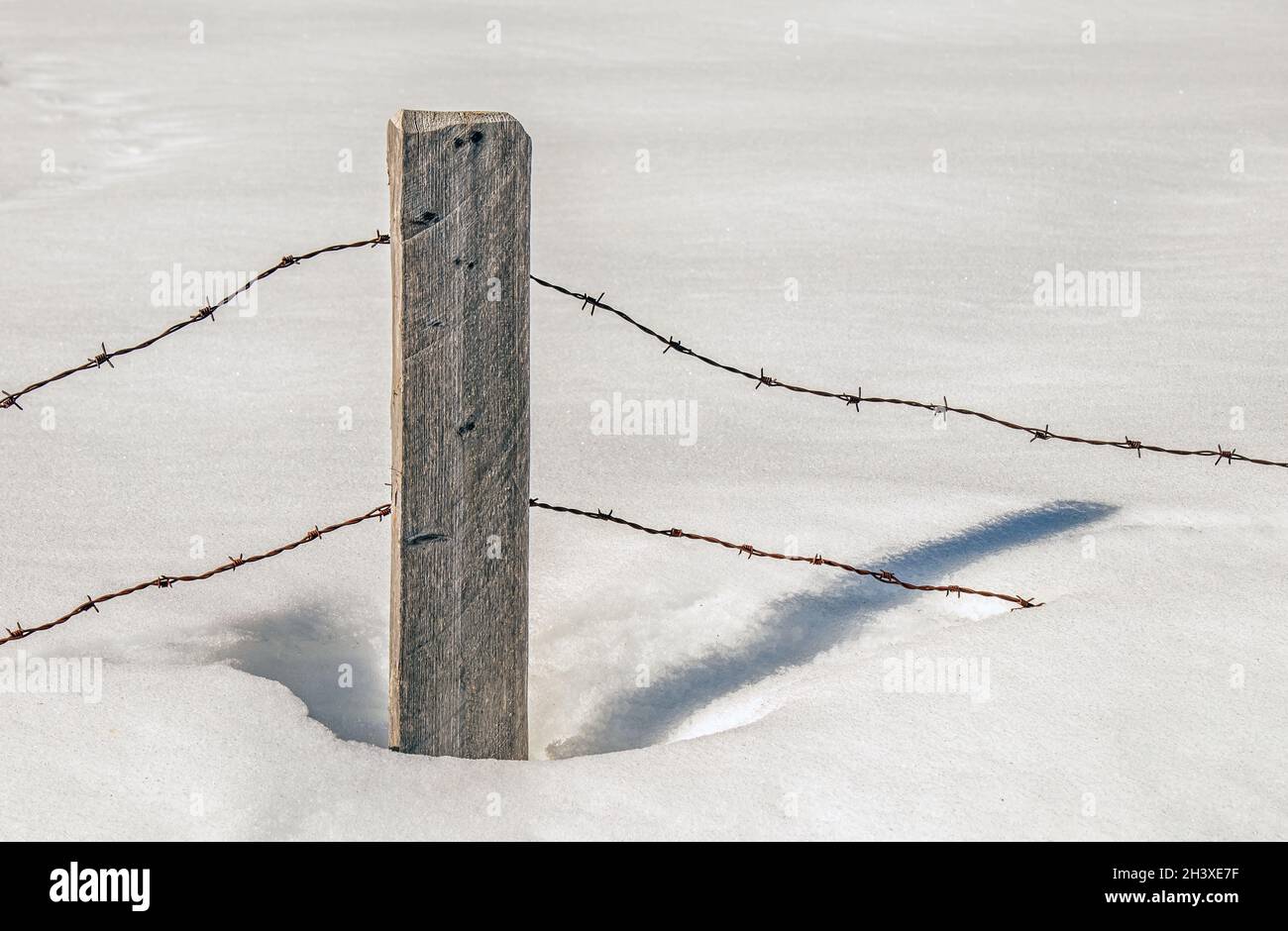 Barbed wire in the snow Stock Photo