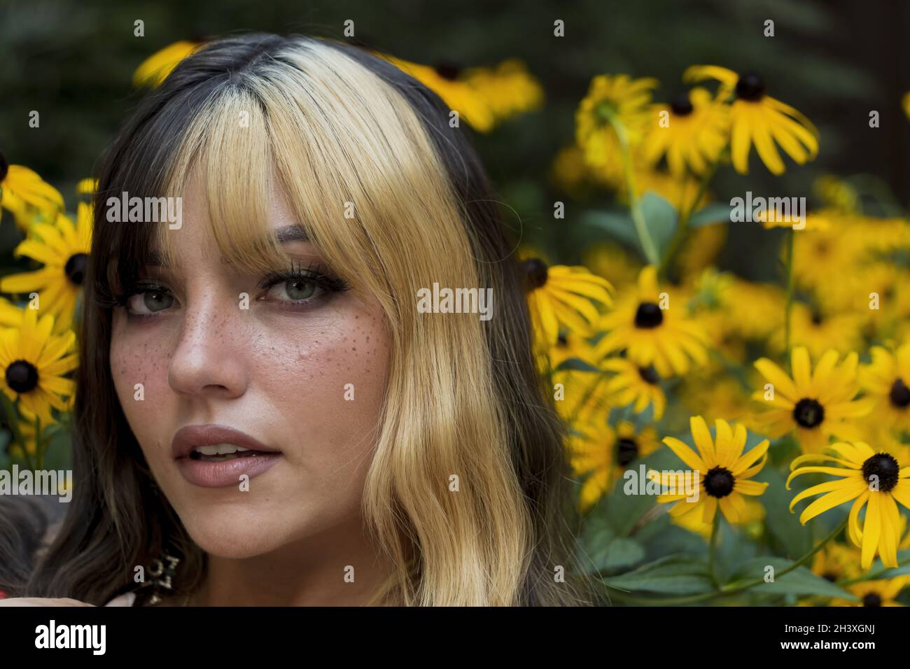 A Lovely Brunette Model Poses In A Field Of Yellow Flowers While Enjoying The Summer Weather Stock Photo