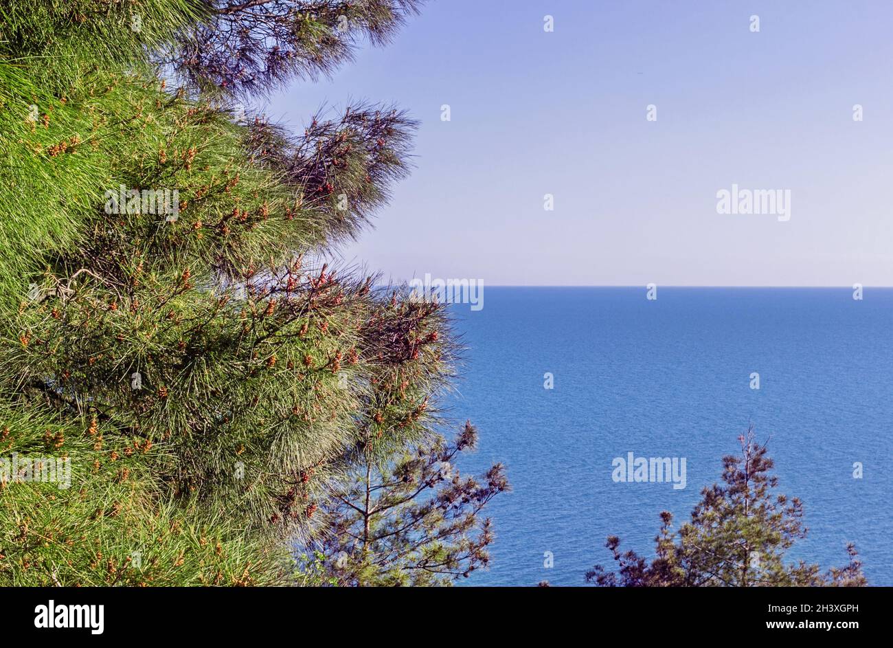 Real pretty horizon line on blue water sea with gree tree Stock Photo