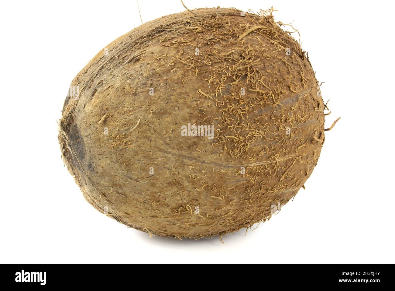 Coconut isolated on white background close up. Stock Photo