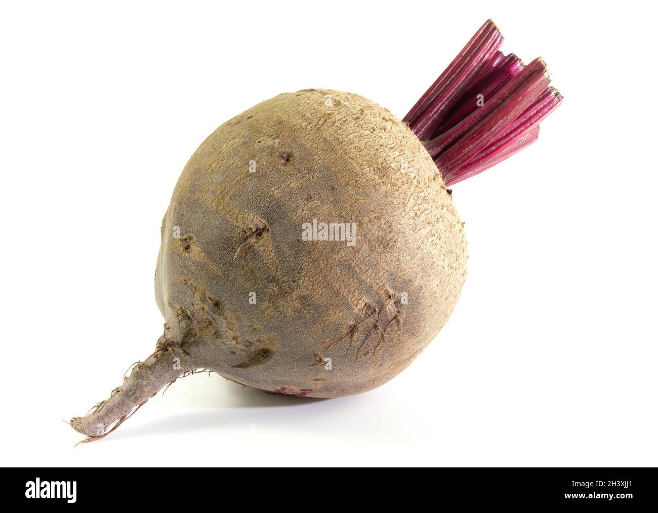 Fresh vegetables, table red beets isolated on white background close up. Stock Photo