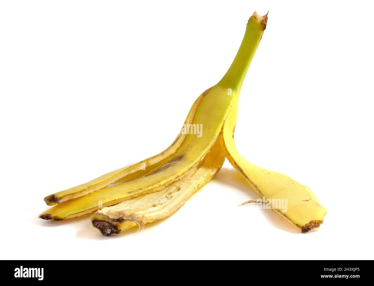 Banana peel isolated on white background close up. Organic material for compost. Stock Photo