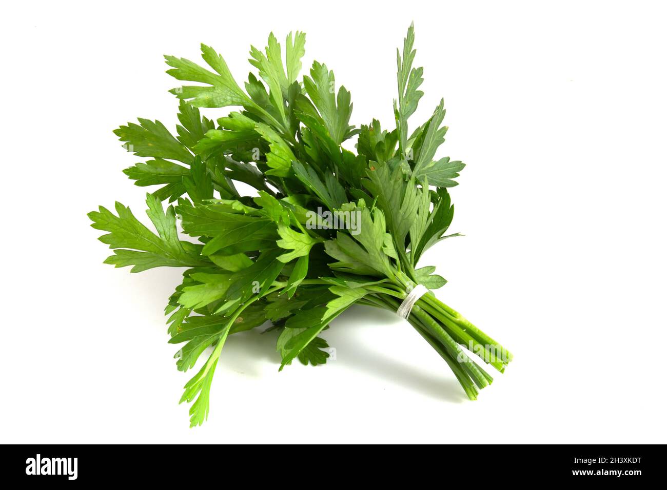 Bunch of fresh green parsley isolated on white background Stock Photo ...