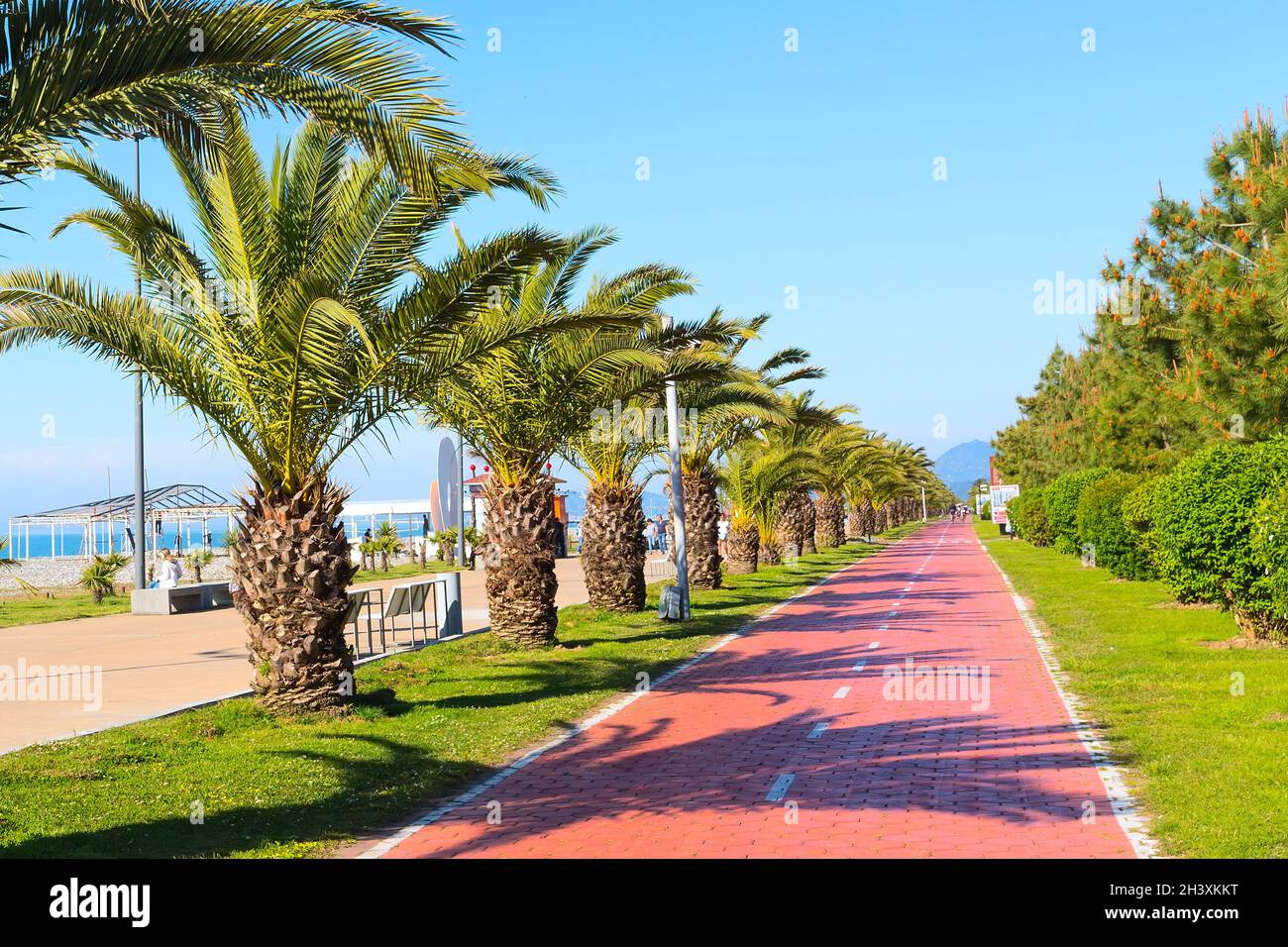 Landscaped park promenade of Batumi, Georgia Stock Photo - Alamy