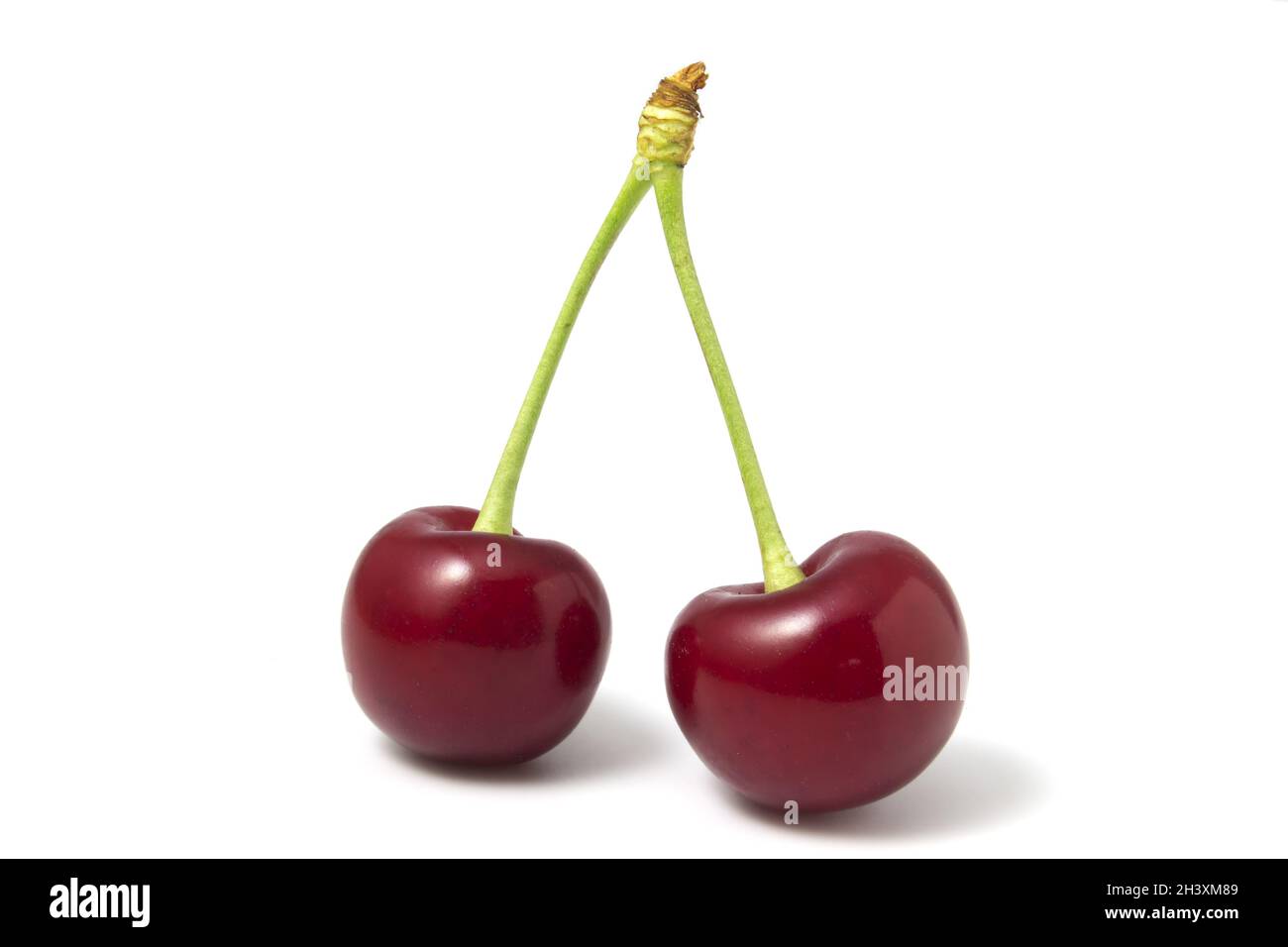 Two isolated red cherries on a white background. Stock Photo