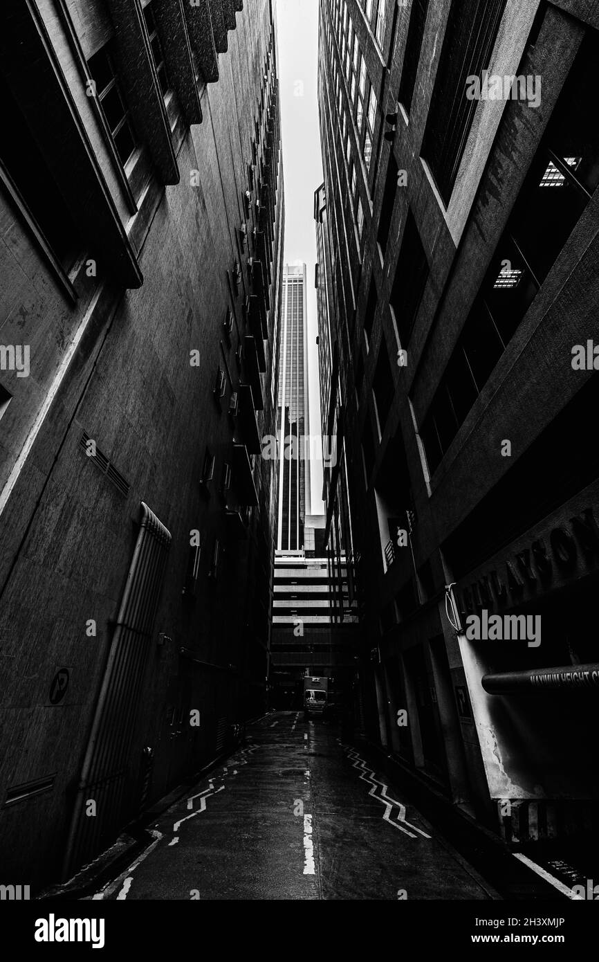 Grayscale shot of a narrow street between two high buildings on a ...