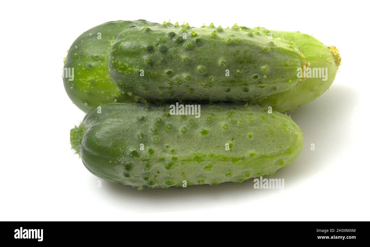 Three green gherkin cucumbers isolated on white background. Stock Photo