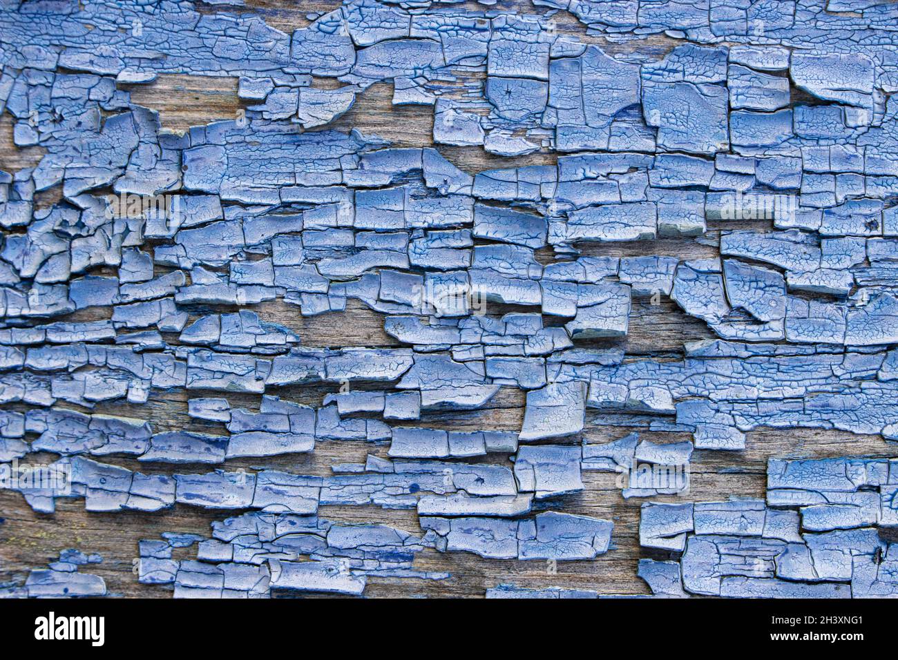 Abstraction of the body of old blue cracked paint on a wooden surface. Stock Photo