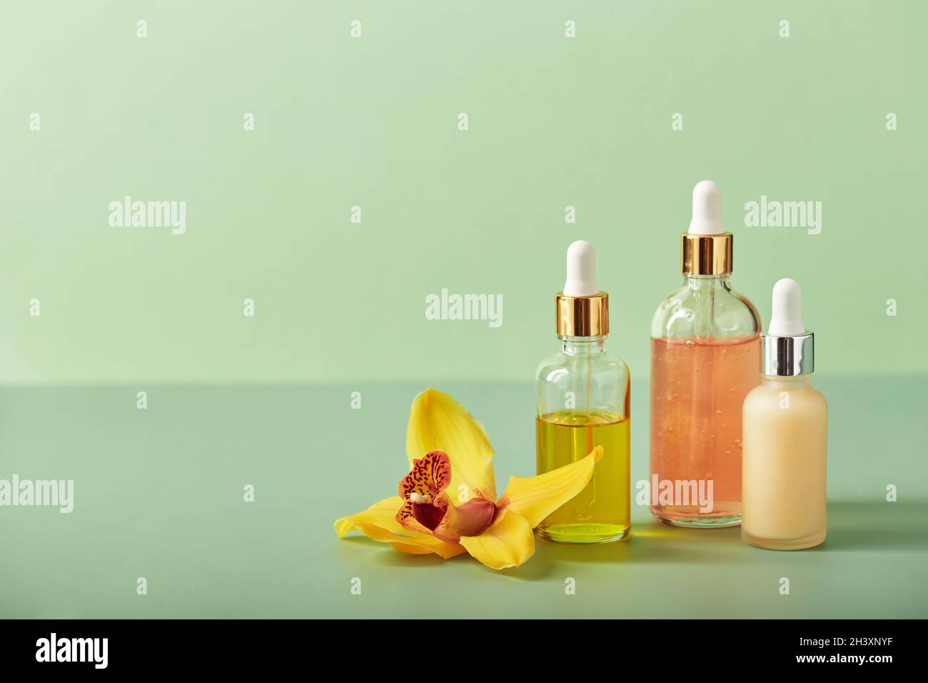 Cosmetic care products in glass bottles with orchid flowers - serums, cream, gel, oils. Concept for face and body care, wellness Stock Photo