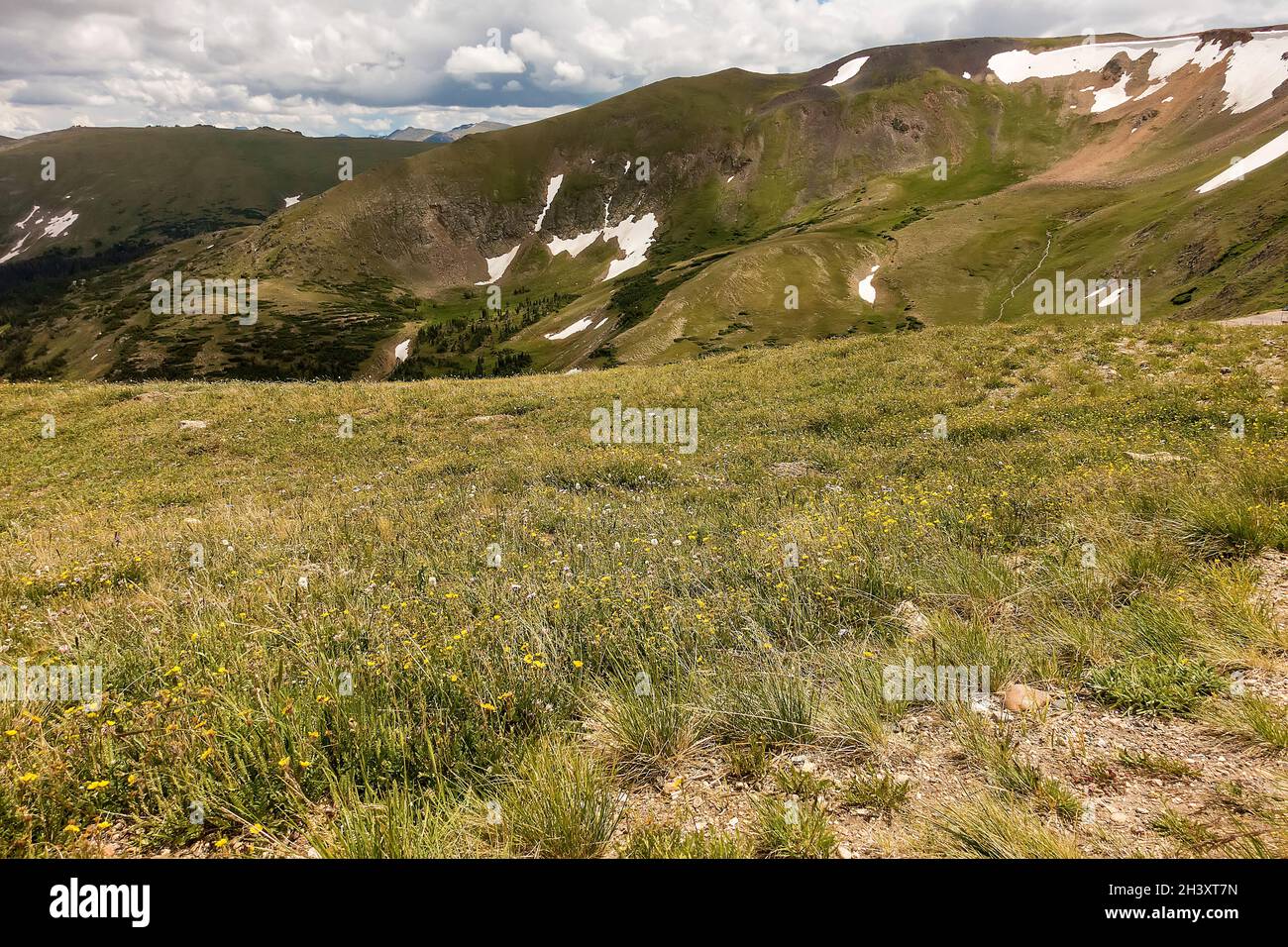 Alpine scenery Rocky Mountain National Park, Colorado, USA Stock Photo