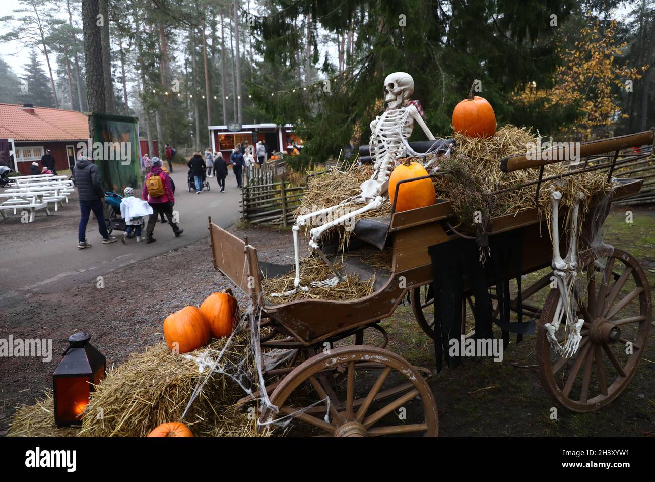 Halloween pumpkins, visitors and skeletons at Kolmarden Zoo on Saturday