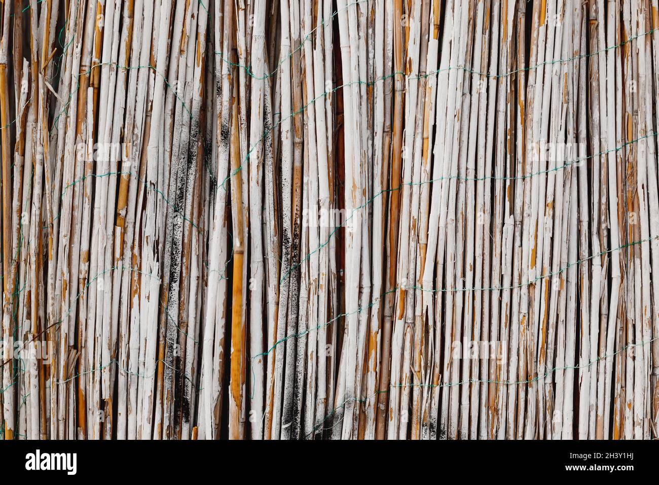 White painted bamboo fence. Close-up of bamboo texture. Wooden background from natural materials. Stock Photo
