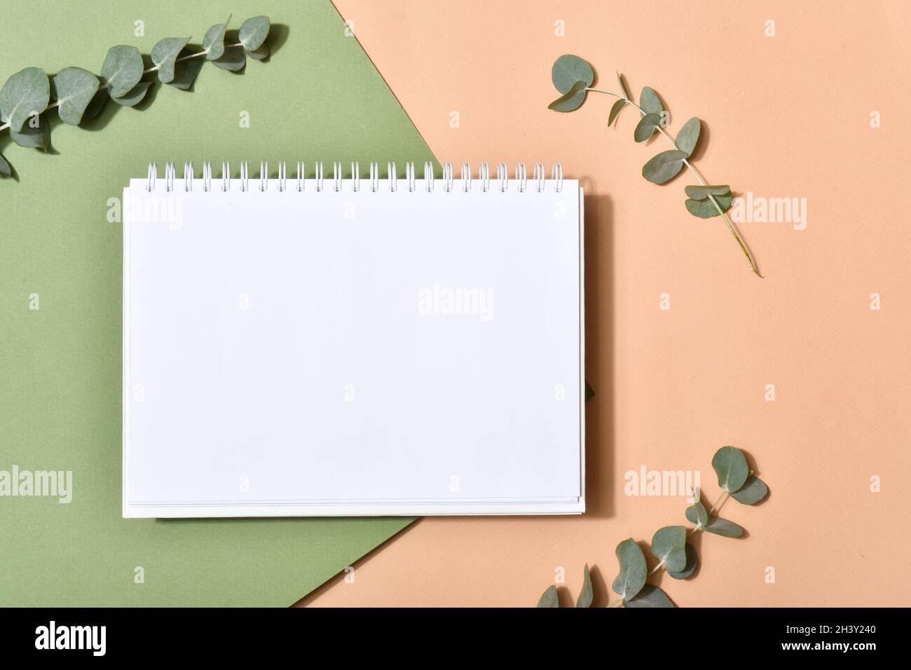 An empty notebook on a beige background with eucalyptus branches. A romantic note. Flat layout, top view, place to copy. Stock Photo