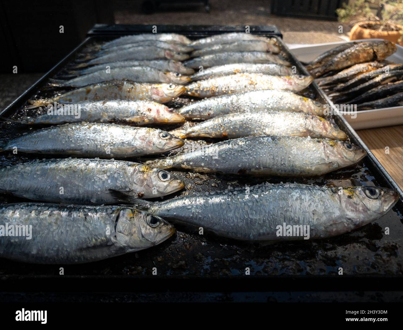 Grilled sardines on a grill plate. Prepared spanish pilchard style. Personal chef cooking fish