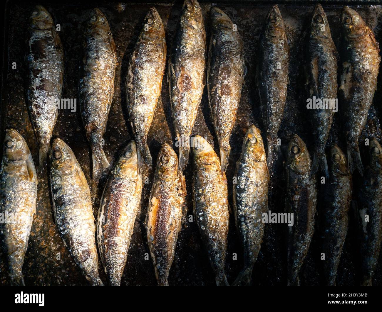 Grilled sardines on a grill plate. Prepared spanish pilchard style