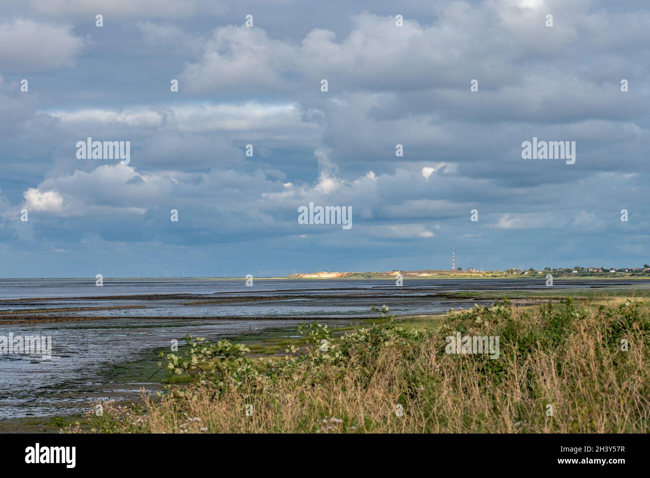 Wadden Sea Stock Photo