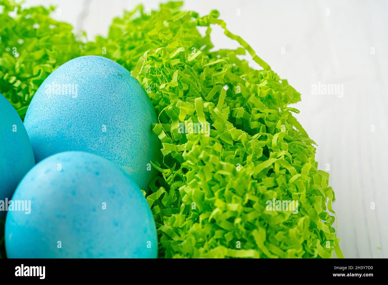 Blue painted eggs in a nest for Easter Stock Photo - Alamy