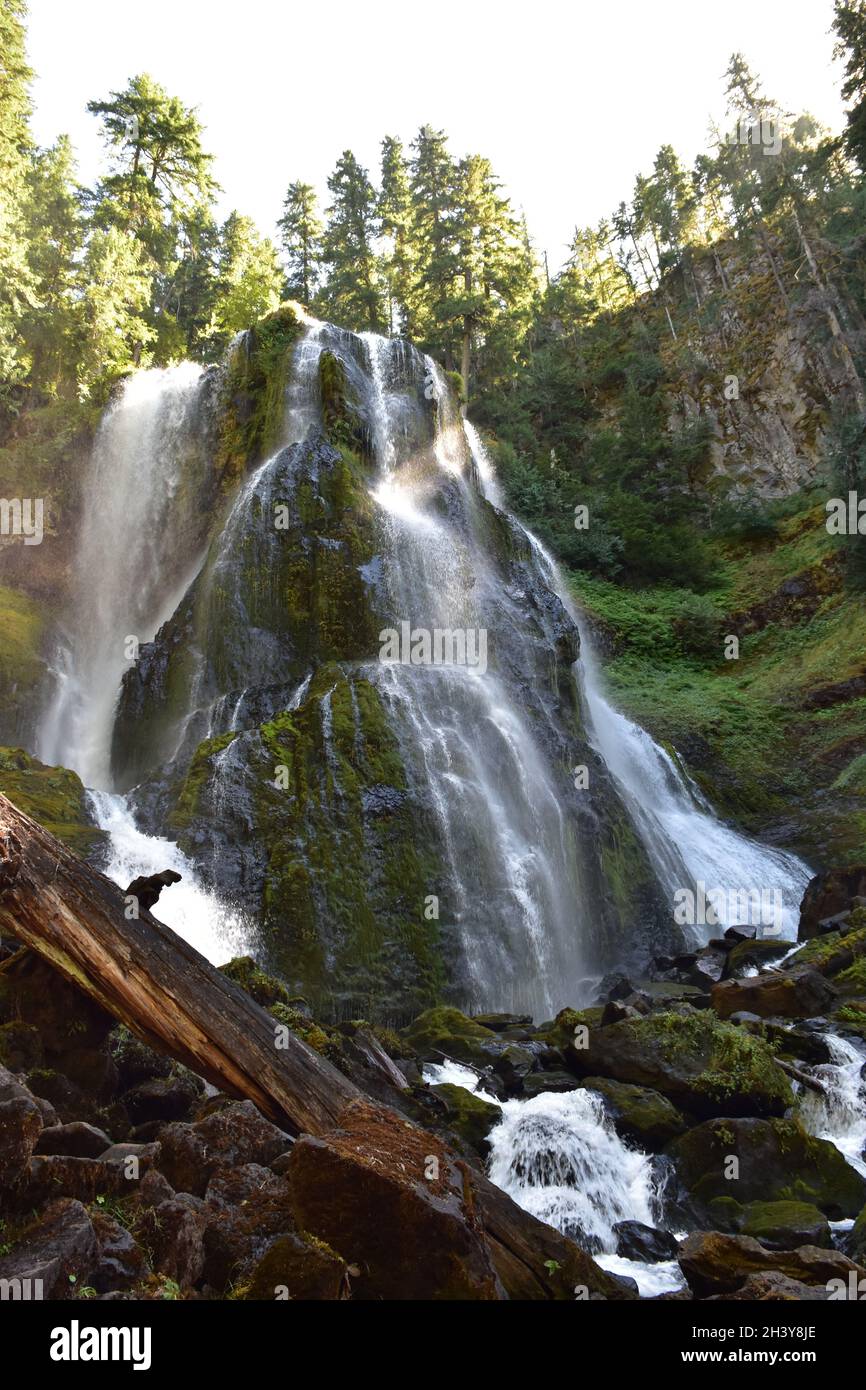 Paradise Falls, Near Mt St Helen In the Pinchot Gifford Nat…