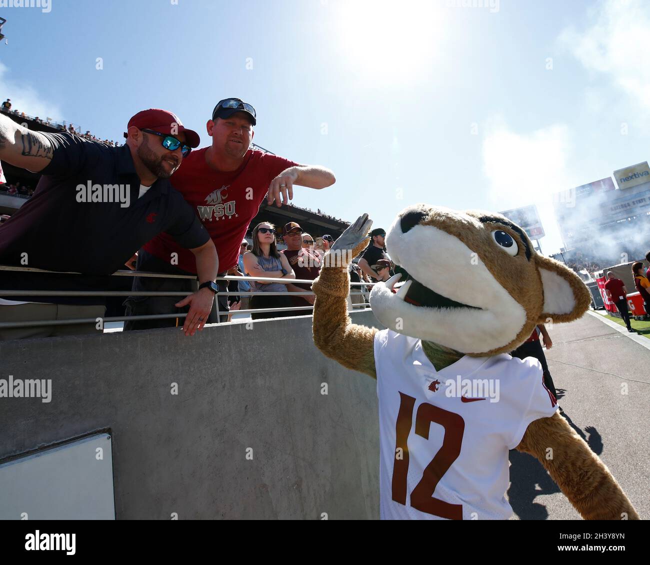 October 30, 2021: Washington State mascot interacts with fans before ...