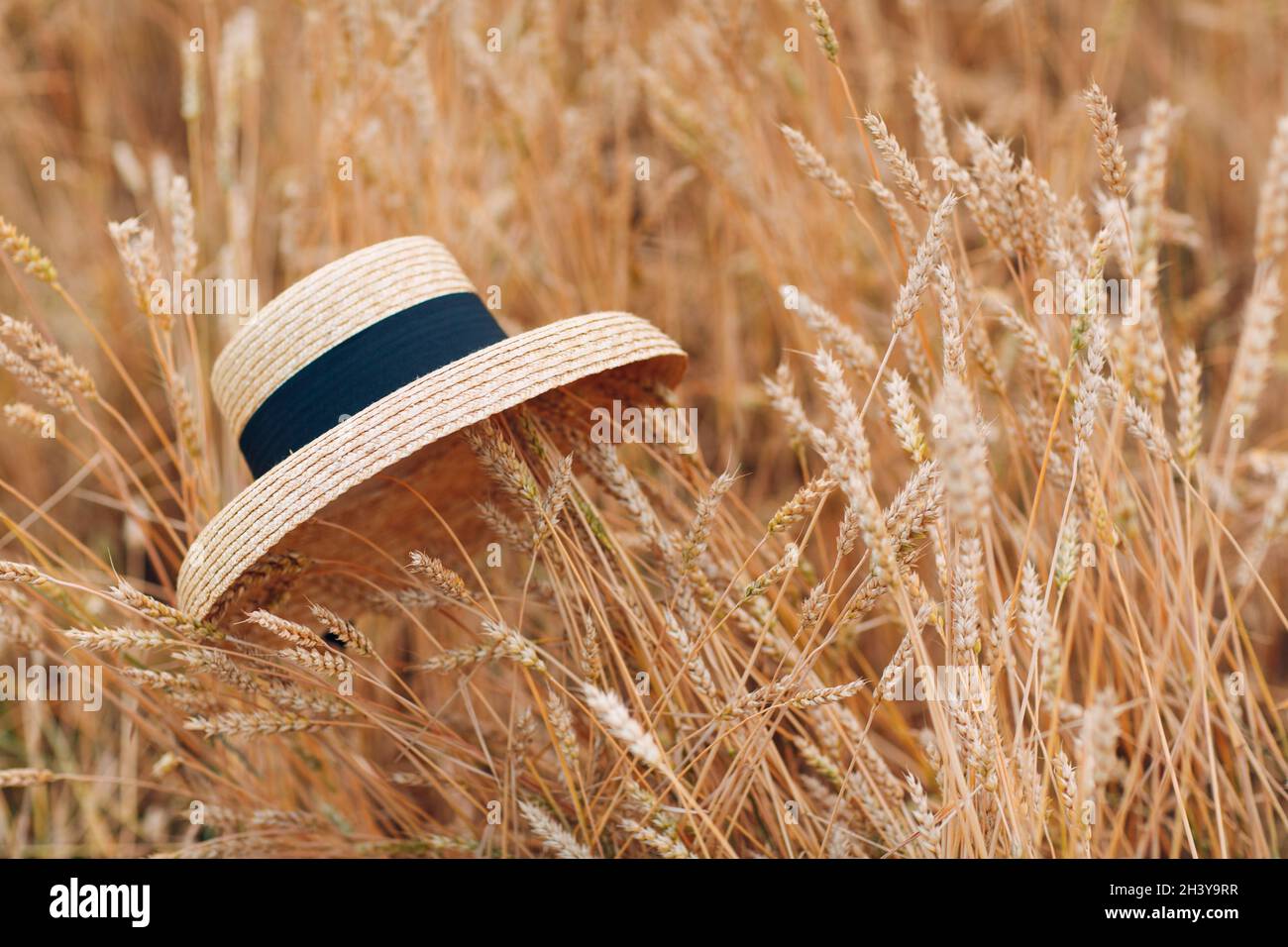 Straw hat in ears of wheat field. Stock Photo