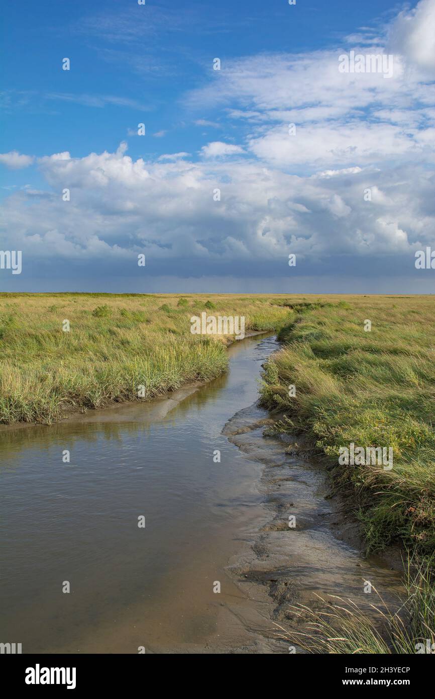 Salt Marsh in Sankt Peter-Ording,North Sea,North Frisia,Germany Stock Photo