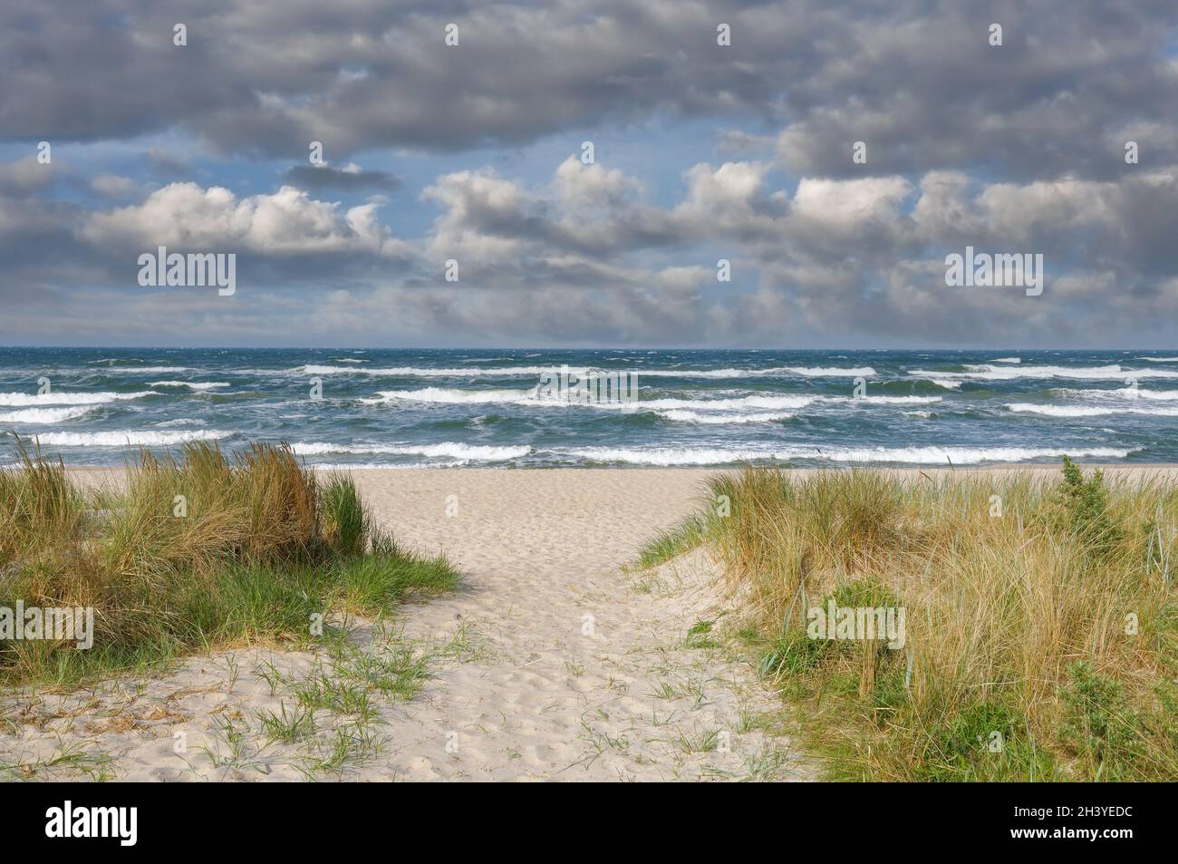 Beach of Baabe,RÃ¼gen,baltic Sea,Mecklenburg-Vorpommern,Germany Stock Photo